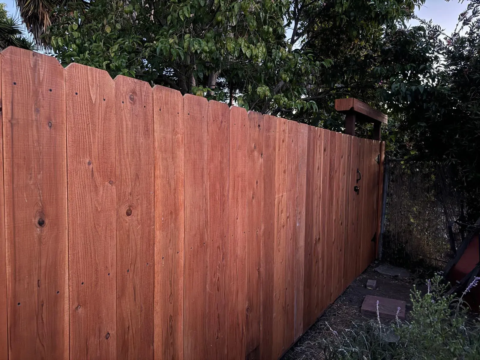 Redwood Fence and Gate
